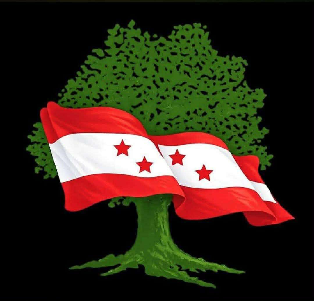 गगन थापा नेतृत्वको नेपाली कांग्रेसलाई आधिकारिकता 