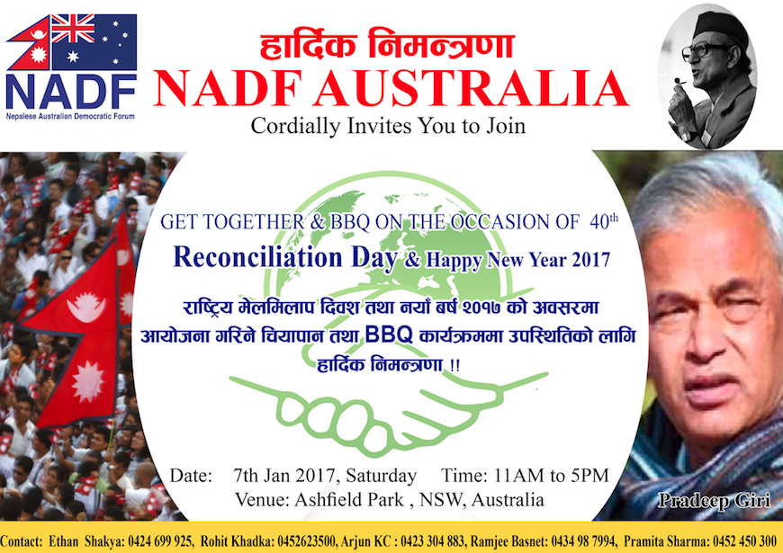 एनएडिएफको चियापान तथा बारबिक्यू कार्यक्रम हुँदैं