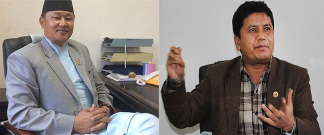 अधिकांश राष्ट्रिय गौरवका आयोजना समस्याग्रस्त