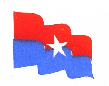 एमाले युवासंघ फुटको संघारमा