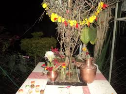 हरिबोधिनी एकादशी तुलसीलाई विवाह गरि मनाइदै