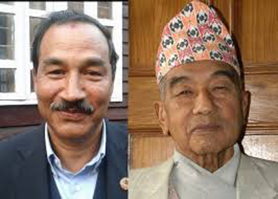 राप्रपा नेपाल औपचारिक बिभाजनमा 